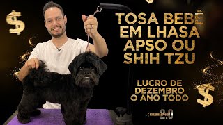 Tosa BebÃª em Lhasa Apso ou Shih Tzu Live 058 [upl. by Yellas744]