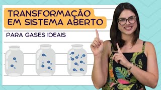 Aula 13  Transformação de estado em sistema aberto gases ideais [upl. by Ahsal]