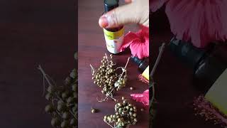 New launch fresh herbs hair growth oil  hayana herbal products [upl. by Ibloc]