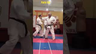 917 Movimientos de defensa y ataque en karate [upl. by Aisel]