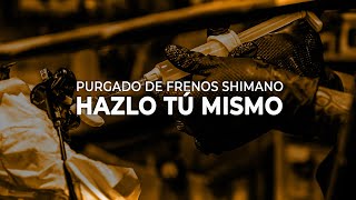 👉🏻 Guía definitiva PURGAR FRENOS SHIMANO🔧🔧 [upl. by Eeraj461]