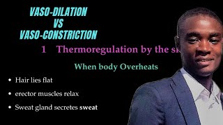 Homeostasis Vasodilation Vs Vasoconstriction [upl. by Georgia]