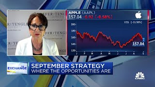 We will see continued deceleration says Nancy Tengler CEO and CIO of Laffer Tengler Investments [upl. by Eiresed]