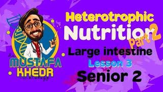 Biology  heterotrophic nutrition  part 2  large intestine دكتور مصطفي خضر [upl. by Aro442]