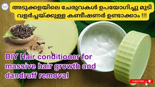 DIY Hair conditioner l അടുക്കളയിലെ ചേരുവകൾ ഉപയോഗിച്ചു മുടി വളർച്ചയ്ക്കുള്ള കണ്ടീഷണർ ഉണ്ടാക്കാം [upl. by Frear500]