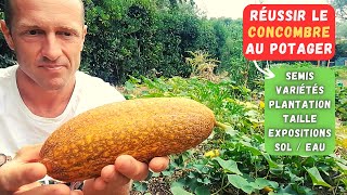 COMMENT CULTIVER LE CONCOMBRE AU POTAGER [upl. by Nahtad260]