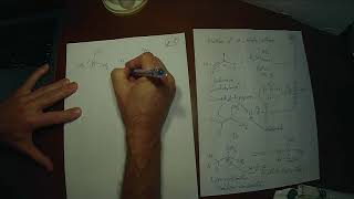 Polymerization reactions [upl. by Nilad]