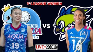 Hisamitsu Springs vs Kurobe Aqua Fairies  VLeague Women Live Scoreboard [upl. by Bar]