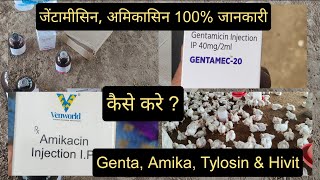 Genta Amikacin Injection for Poultry  इंजेक्शन की डोज़ कैसे बनाएं  Tylosin For Broiler [upl. by Enyrehtac769]