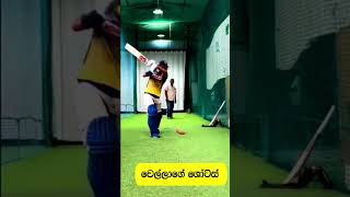 වෙල්ලා  Dunith Wellalage Practice [upl. by Ameg]