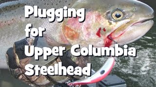 Plugging for Upper Columbia Steelhead [upl. by Maccarone]