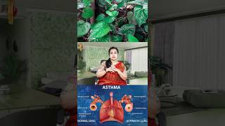 ஆஸ்துமா பிரச்சனைக்கு தற்போதைய தீர்வு இதுதான் 😲  Asthma [upl. by Neilla]