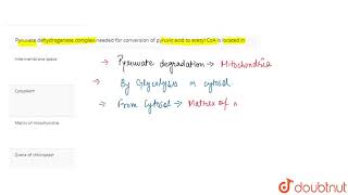 Pyruvate dehydrogenase complex needed for conversion of pyruvic acid to acetyl CoA is located in [upl. by Eimmas]