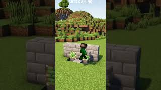 DOUBLE BLOCK SWIPER IN MINECRAFT minecraft GAMING ART [upl. by Mickelson]