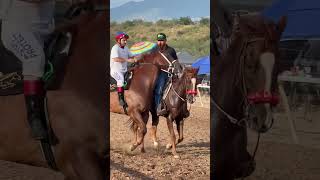 La Magoreña en Moctezuma Sonora alazana colorada 📸🐴 [upl. by Raila]