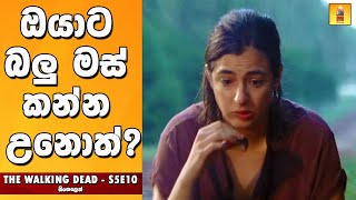 ද වෝකින් ඩෙඩ් S5E10  TV Series Sinhala Review  Home Television Sinhala TV Series Review Explained [upl. by Barcot]