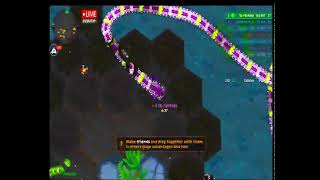 Live streaming✨ little big snake game 1 players please subscribe ep15 [upl. by Ereveneug]