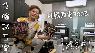 「食腦試音室」之Western Electric 西電2021年VS Cetron Gold 1997年 300B～隨意拍 [upl. by Aennil]