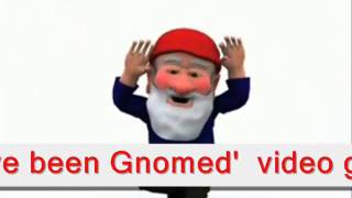 youve been gnomedwmv [upl. by Yale102]