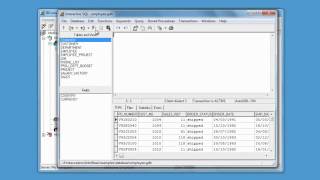 InterBase Database Introduction to IBConsole [upl. by Eimaraj]