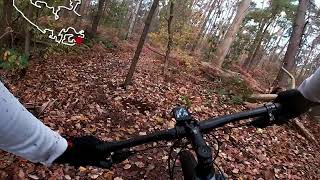 Gele Route MTB  Bossen Van Haasdonk [upl. by Irahs476]