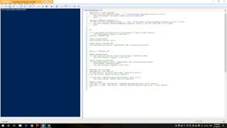 PowerShell 5 scripting checks [upl. by Oab836]