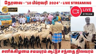 திருச்சி சமயபுரம் ஆட்டுச் சந்தை நேரலை  Trichy Samayapuram aattu santhai Live  Tamilnadu Pets [upl. by Yhtac18]