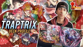 Deck Profile TRAPTRIX [upl. by Saeger636]