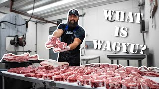 Wagyu Beef and Kobe Beef Whats the Difference The Bearded Butchers Answer and Grill [upl. by Beitris]