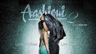 Aashiqui 2 Full Movie Explained In Hindi  Aditya Roy Kapur  Shraddha Kapoor [upl. by Francois]