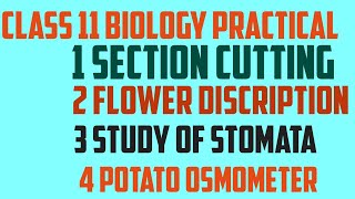 Class 11 biology practical core experiments and slide [upl. by Nueovas]