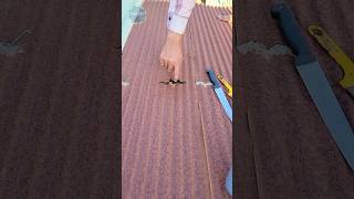 The best waterproofing treatment for roof tear shortvideo shotrs viral waterproofing video [upl. by Nord]