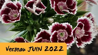 VerseauJuin 2022Quelque chose à fêter [upl. by Nerat]