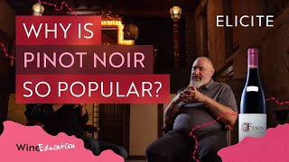 Why Is Pinot Noir So Popular [upl. by Ameer546]