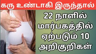 Breast changes in early pregnancy before missed period in tamil  early pregnancy symptoms in tamil [upl. by Finlay]