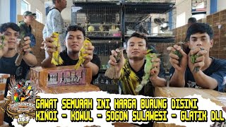 GAWAT KO BISA SEMURAH INI HARGA BURUNG DISINI  KINOI  KOWUL  SOGON SULAWESI  GLATIK DLL [upl. by Zulema]