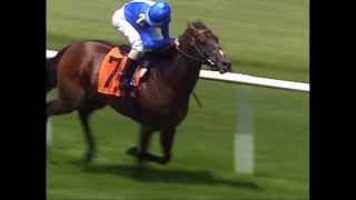 Surfrider race at Belmont Park  03062012 [upl. by Silvan]