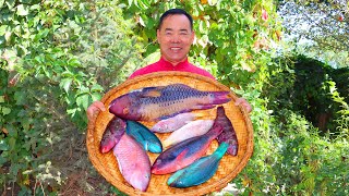 Colorful Fish From Deep Sea Cooked in Sour Sweet Spicy 5Flavor All at Once Uncle Rural Gourmet [upl. by Sivam]