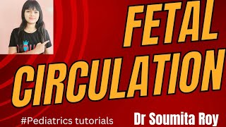 Understanding FETAL CIRCULATION fetal circulation embryology Pediatrics lecture Dr Soumita Roy [upl. by Niple]