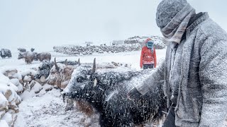 NYC hit with largest snowfall in two years [upl. by Matrona668]