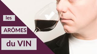 COURS DOENOLOGIE et de DÉGUSTATION  les arômes du vin [upl. by Navonoj488]