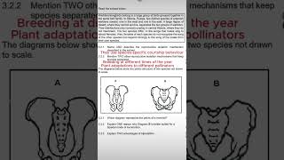 Life sciences grade 12 human evolution thundereduc [upl. by Forrest]