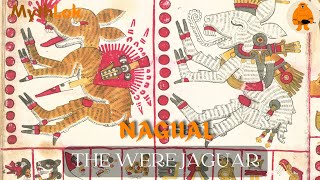 Learn Everything You Need To Know About The Nagual The Were Jaguar And Mayan Mythology [upl. by Swisher16]