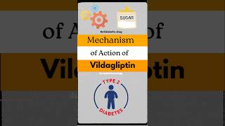 Vildagliptin neetpg mbbs action [upl. by Campos510]