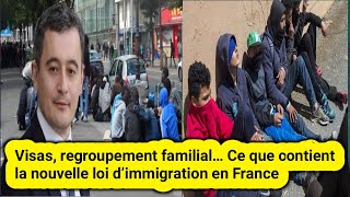 Visas  regroupement familial  Ce que contient la nouvelle loi d’immigration en France [upl. by Hausner]