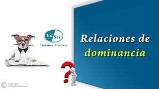 🤔 Relaciones de dominancia 💯✅ [upl. by Prudy216]