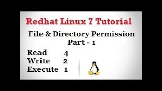 Basic Permission of Linux  Read Write amp Execute  Part  1 Video No  36 [upl. by Aytnahs]