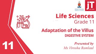 1 Gr 11  Life Sciences  Digestive System  Adaptations of the Villus [upl. by Truitt]