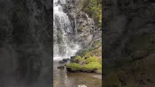 Scaleber Force is situated in a deep wooded gorge near Settle and is without doubt hiddengemsbts [upl. by Notnef]