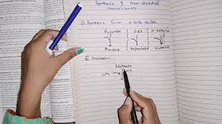 Biosynthesis of nonessential amino acids aminoacidmetabolism biochemistry [upl. by Rhoads]